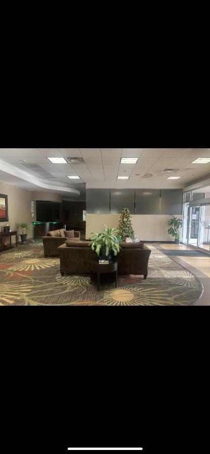 Wyndham Garden Dover Exterior photo